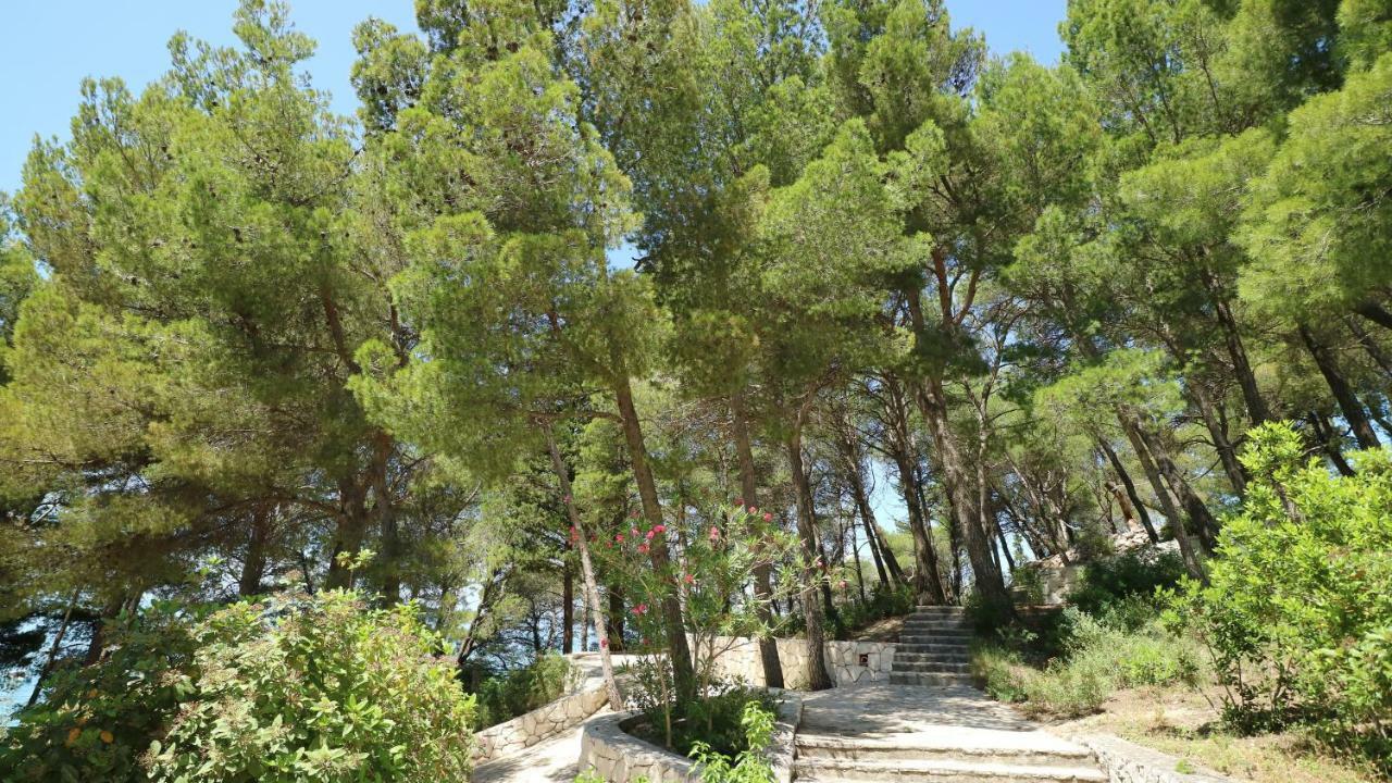Apartment Ena - Lavica بودْسْتغانا المظهر الخارجي الصورة